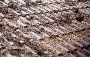 Northdyke roof cleaning companies