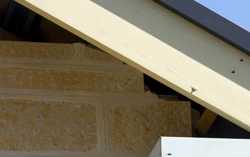 soffit repair Northdyke