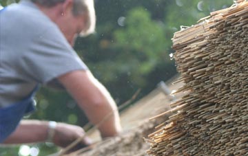 professional Northdyke thatchers